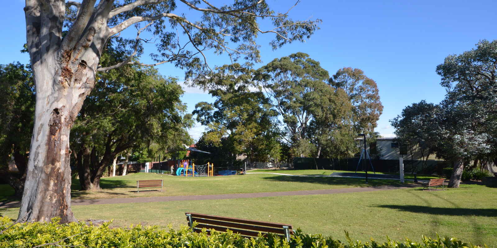 2/3 Gordon Street Randwick