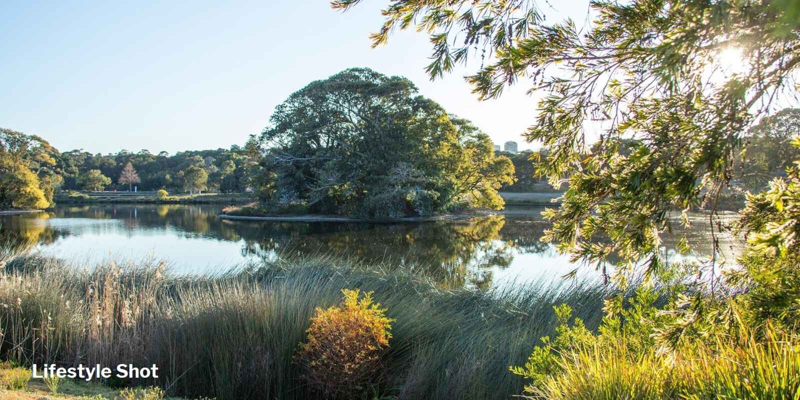 1304/253-255 Oxford Street Bondi Junction 1304/253-255 Oxford Street Bondi Junction