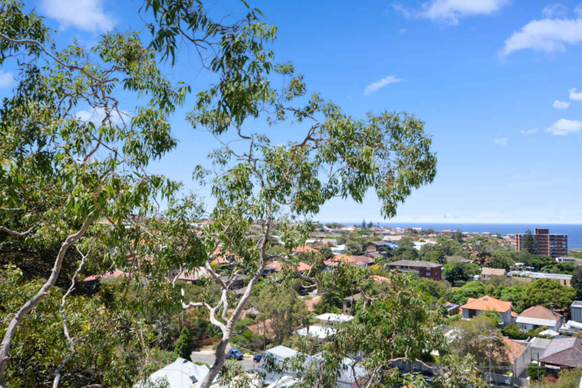 513/72 Henrietta Street Waverley 513/72 Henrietta Street Waverley