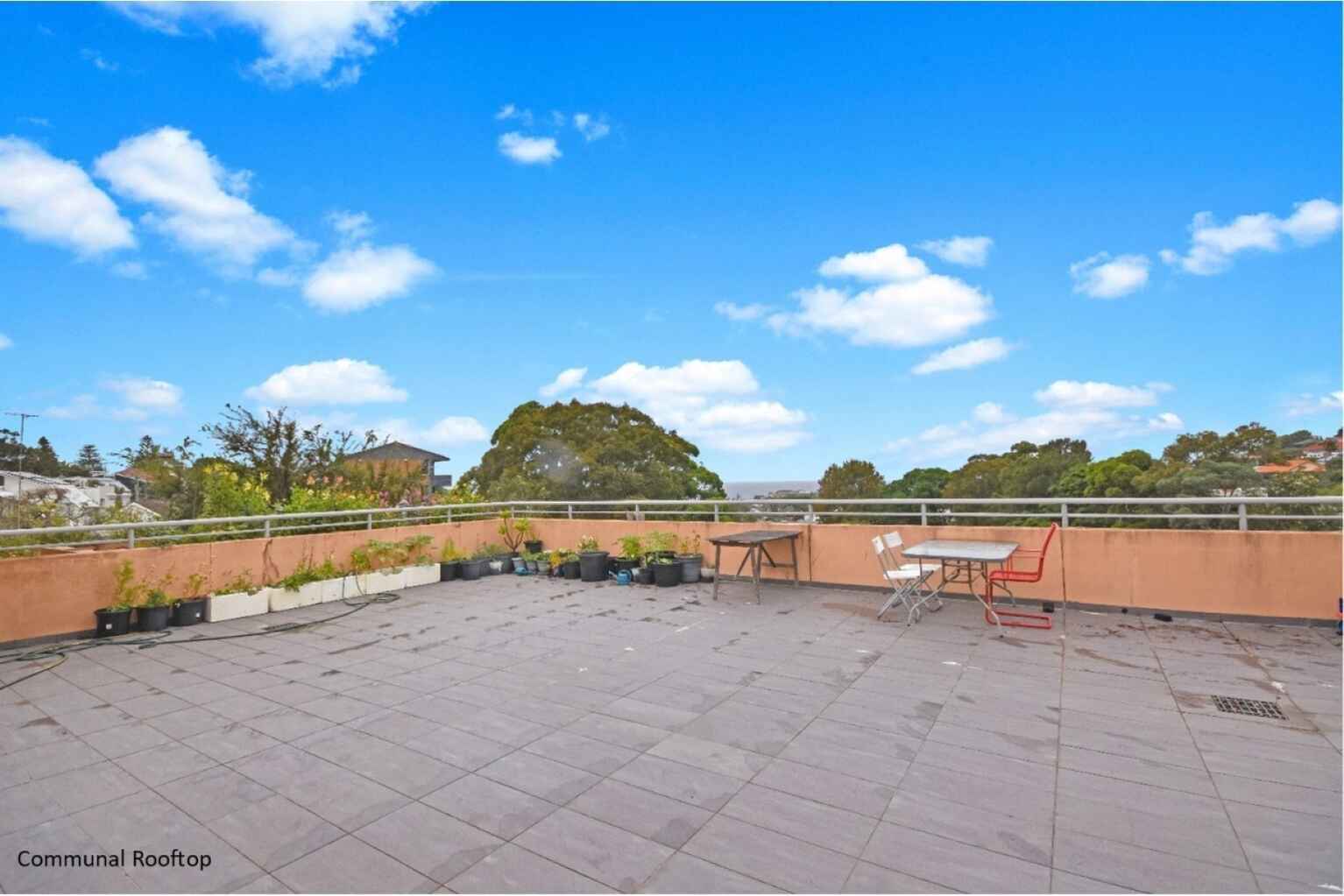 202/7 Wills Avenue Bronte